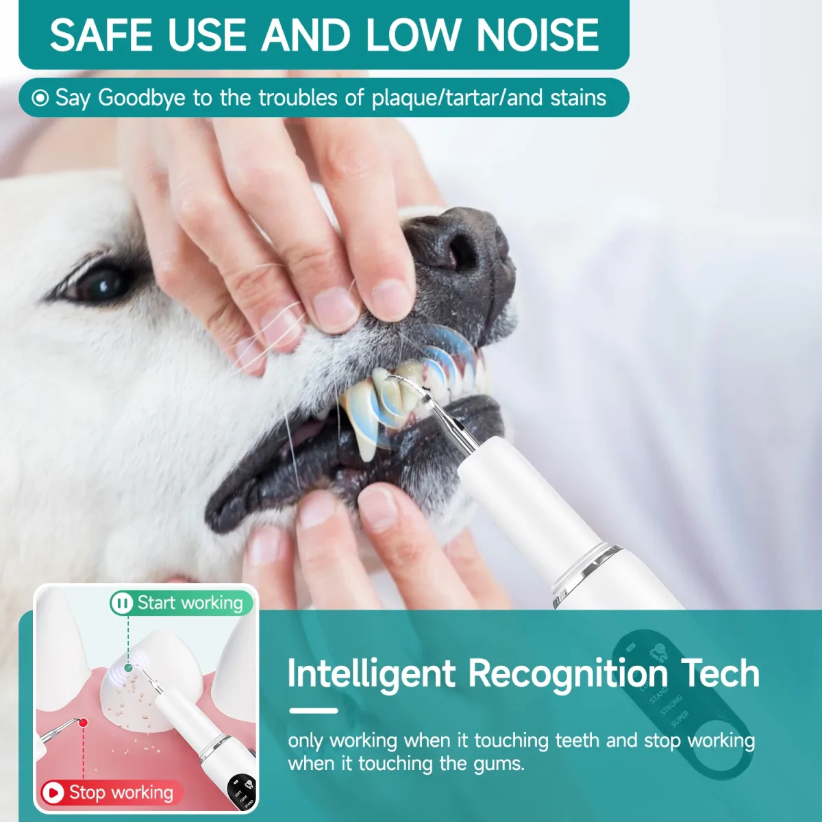 Nettoyeur de dents ultrasonique pour chien