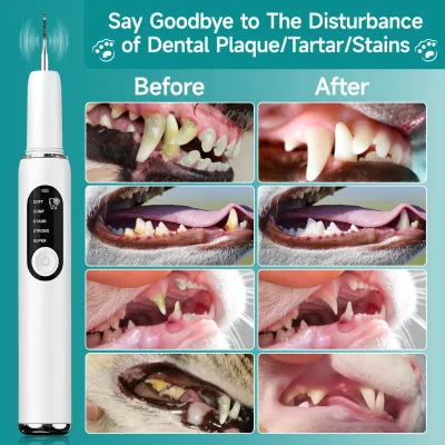 Nettoyeur de dents ultrasonique pour chien – image 3